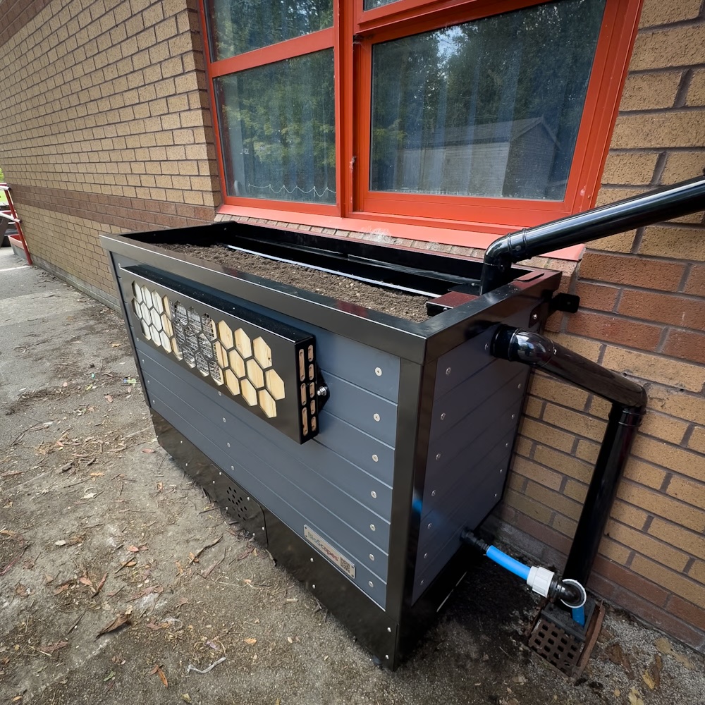 Rain planter